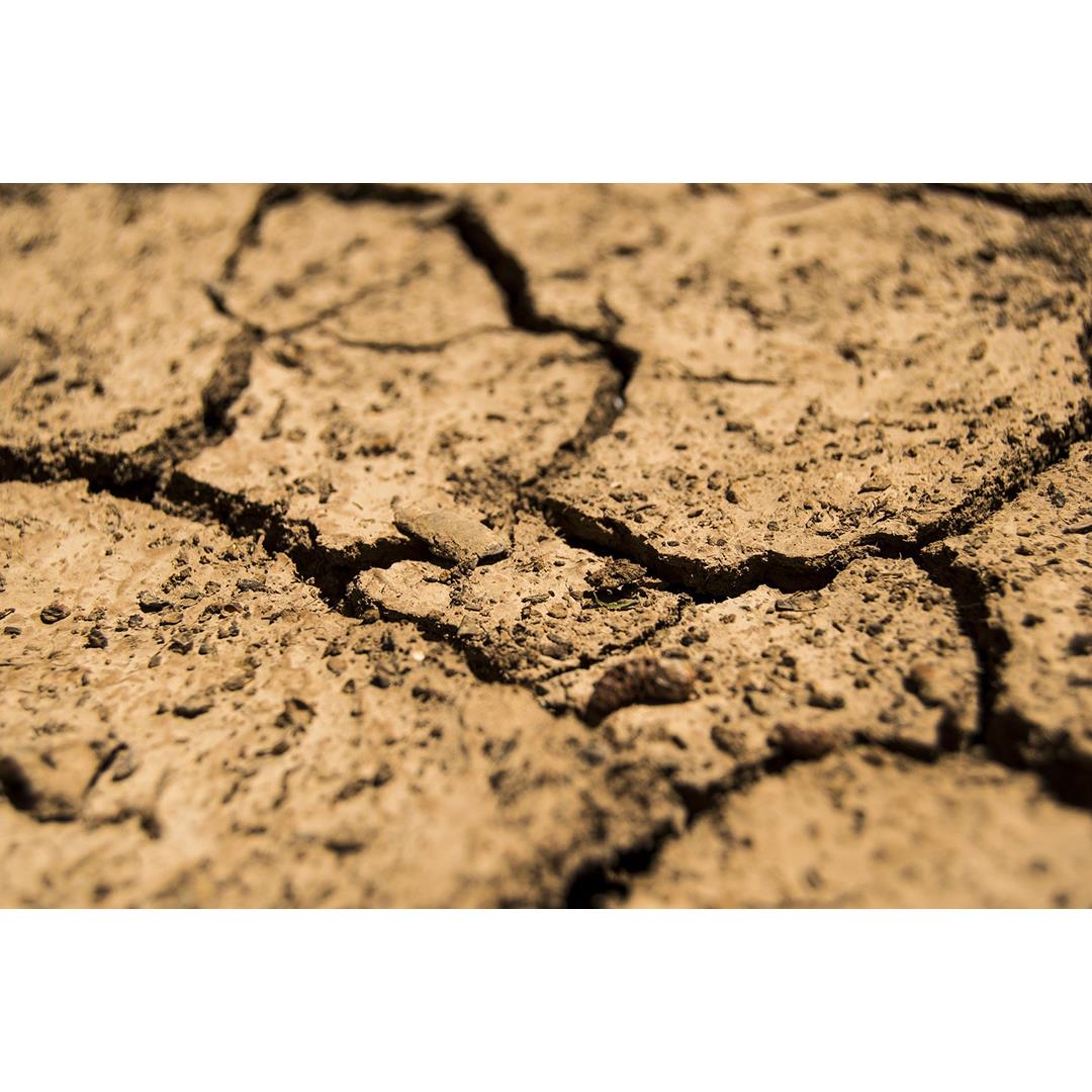 SOIL